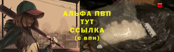 PSILOCYBIN Пересвет