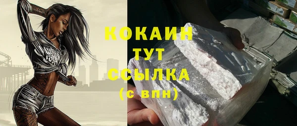PSILOCYBIN Пересвет