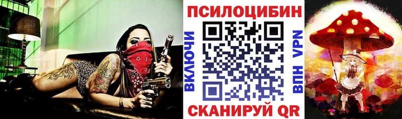 где можно купить   Севастополь  Псилоцибиновые грибы Psilocybe 