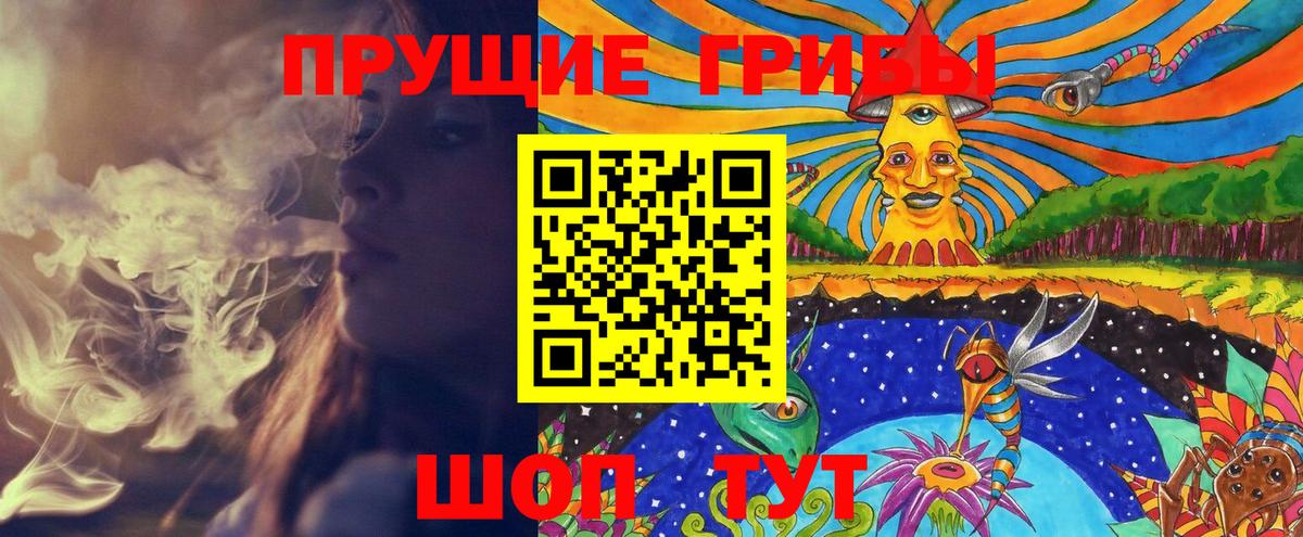 Псилоцибиновые грибы GOLDEN TEACHER  Галлюциногенные грибы Magic Shrooms  Севастополь  Вход с VPN 