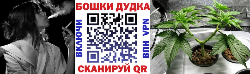 МЕГА маркетплейс Севастополь Бошки марихуана OG Kush